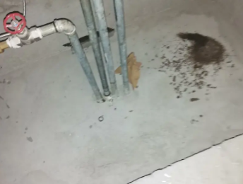 松北卫生间测漏水价格明细